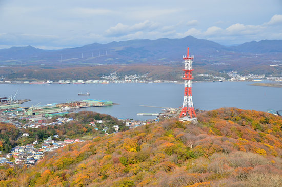 D70_3911[1]