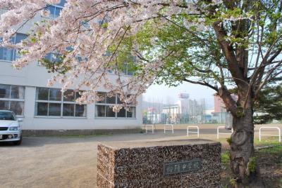 番外編　桜めぐり2008 （向陽中学校）
