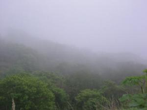 雨