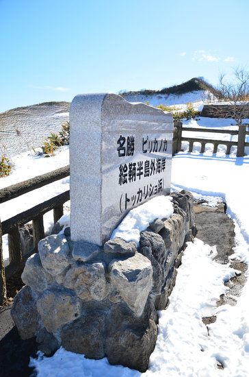 D70_4176[1]