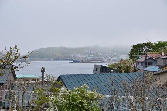 番外編　（最近の散歩　緑町4丁目　後編）