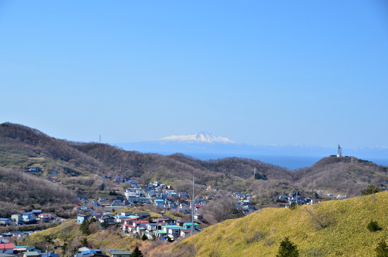D70_4295[1]