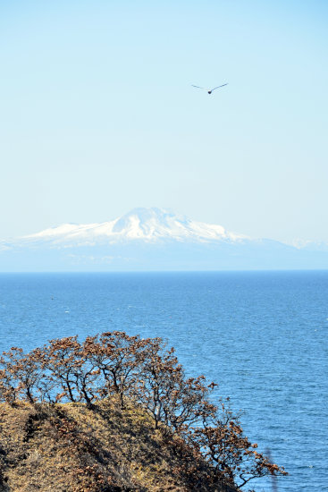 D70_4376[1]