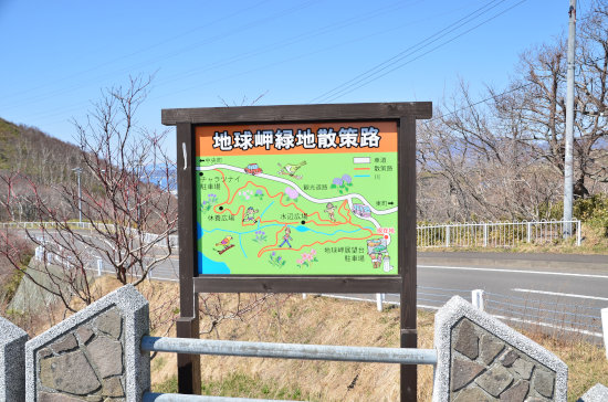 春の花探し　地球岬緑地散策路