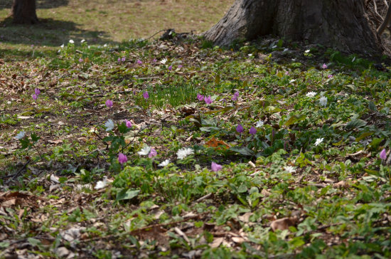 D70_4826[1]