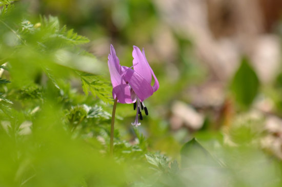 D70_4859[1]