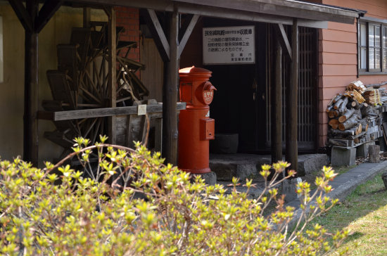 D70_4870[1]