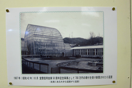 IMG_7831[1]