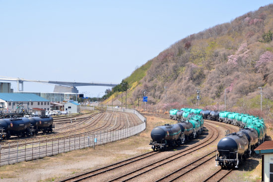 D70_4984[1]