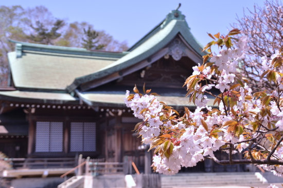D70_5012[1]