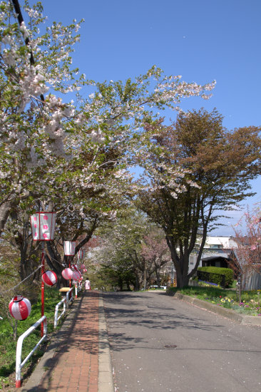 D70_5317[1]