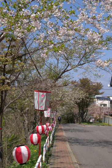 D70_5328[1]