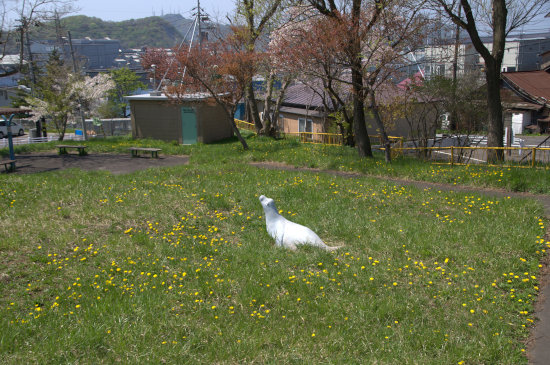 D70_5362[1]