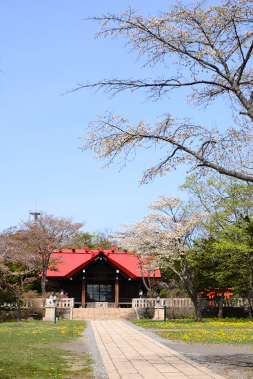D70_5479[1]