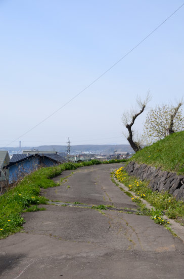 D70_5489[1]