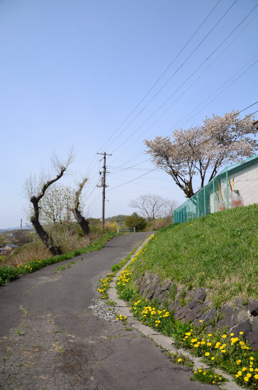 D70_5491[1]