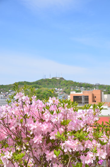 D70_5933[1]