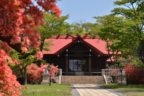 御傘山神社のツツジ　2014