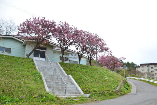 最近の散歩　（御前水町2丁目）前編