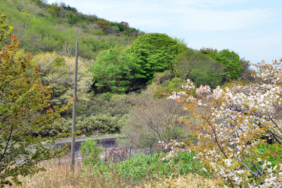 D70_5635[1]