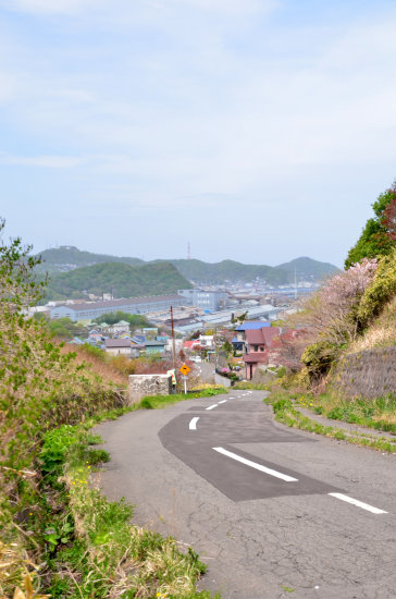 D70_5646[1]