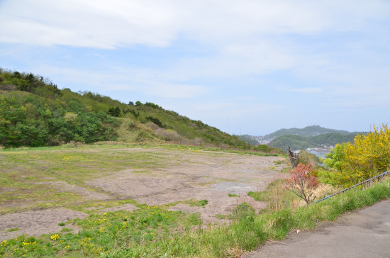 D70_5647[1]