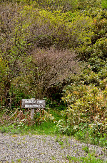 D70_5649[1]