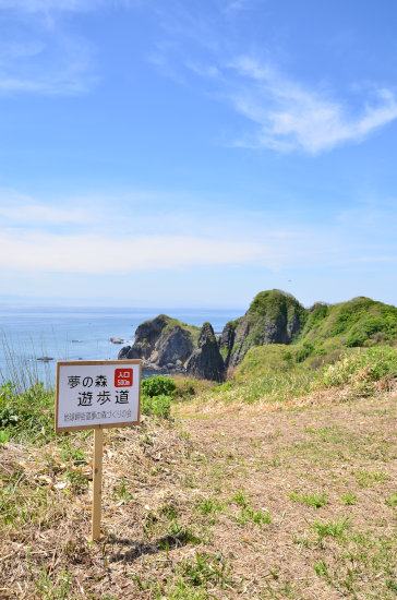 D70_6441[1]