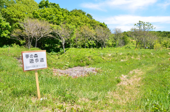 D70_6462[1]