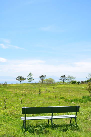 D70_6473[1]