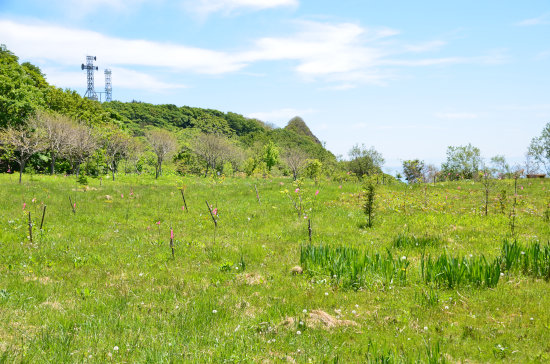 D70_6476[1]