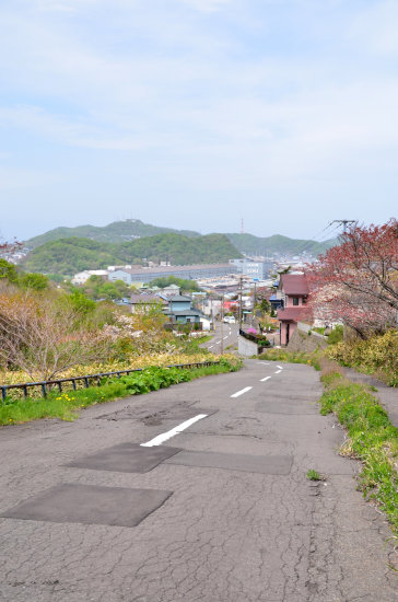 D70_5676[1]