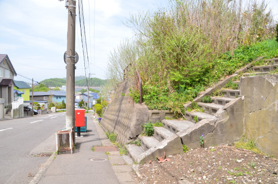 D70_5684[1]