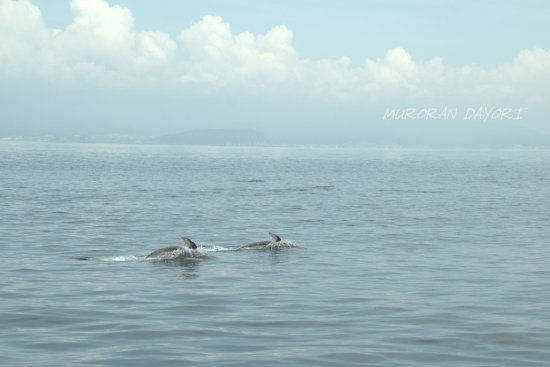D70_8828[1]