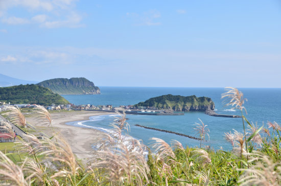 D70_9433[1]