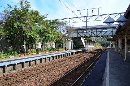 D70_9515[1]