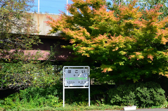 D70_9516[1]