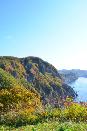 D70_9530[1]