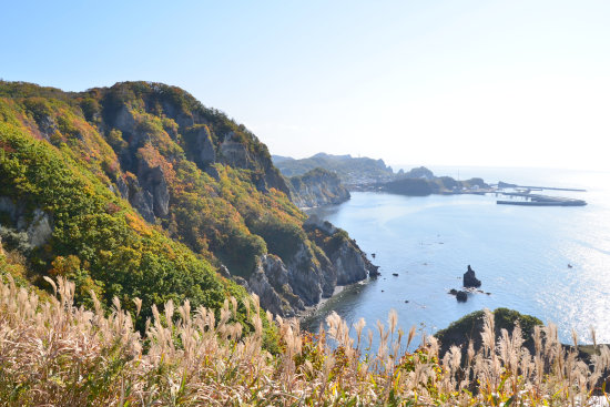 秋のマスイチ浜　2014