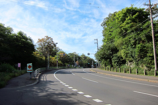 最近の散歩（ラッパ森へ）