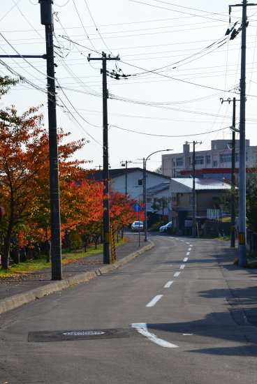 D70_0048[1]