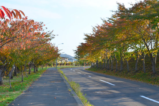 D70_0062[1]