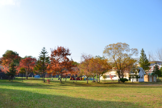 D70_0084[1]