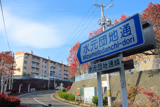 最近の散歩　（水元町）