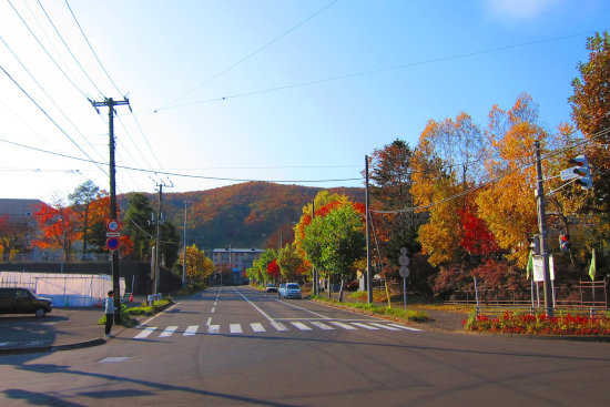 最近の散歩　（水元町から高砂町へ）