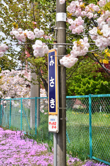 D70_5774[1]