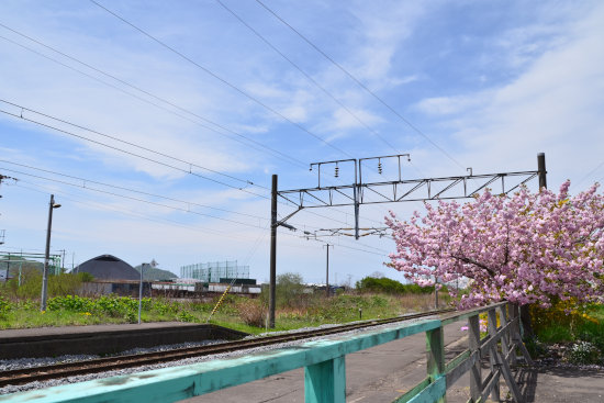 D70_5785[1]