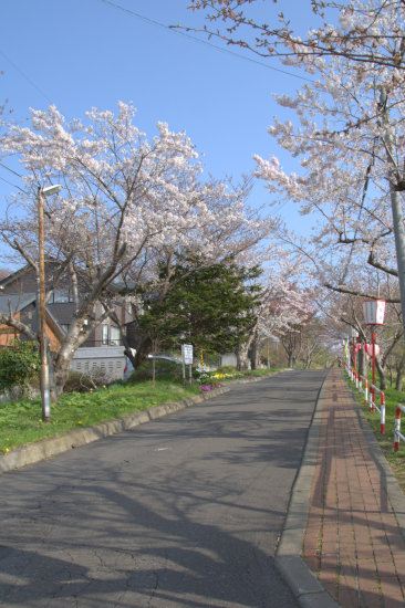 D70_1284[1]