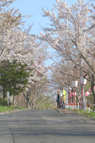 D70_1302[1]