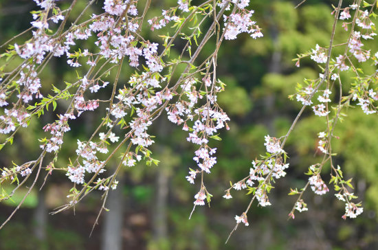 D70_1486[1]